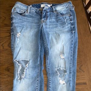 Torrid Jeans STRETCHY